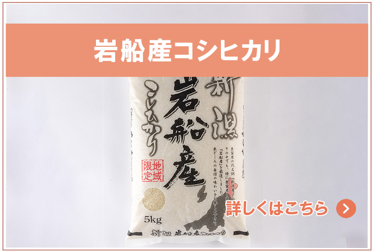 岩船産コシヒカリ