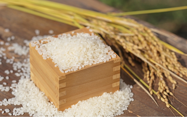 「五つ星お米マイスター」の厳しい目と技術が最高のお米をつくります！